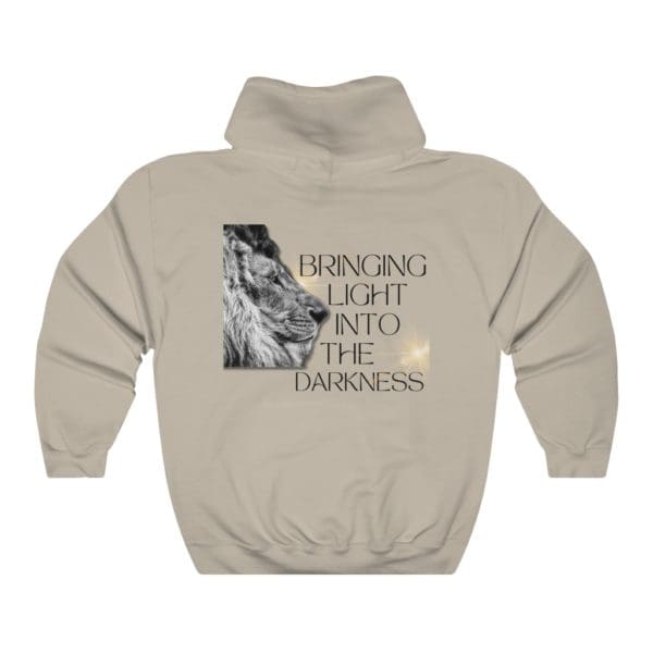 Back, God+Light+Truth, Sand Hoodie