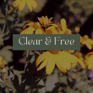 Clear & Free