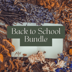 Back to School Bundle